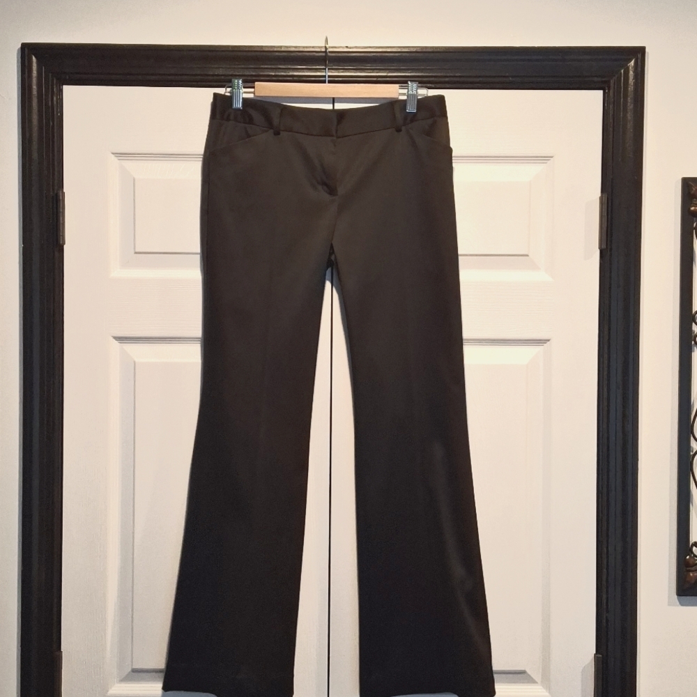 Express Editor Holiday Pants